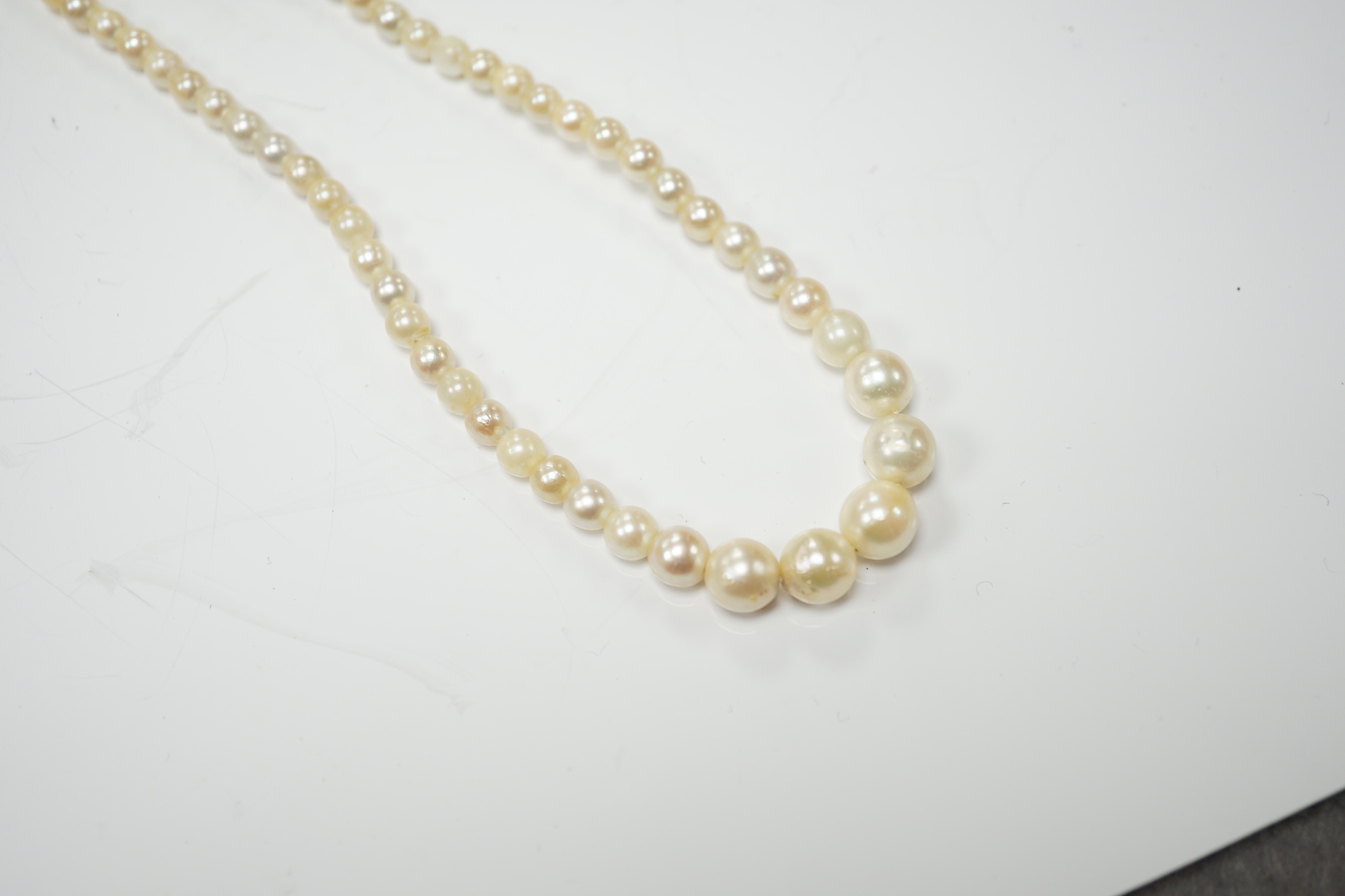A single strand graduated cultured pearl necklace, with 9ct gold and cultured pearl set clasp, 40cm.